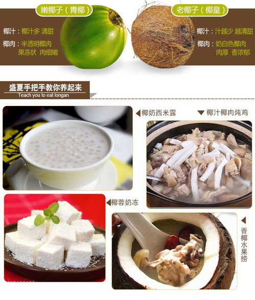 海南老椰子批發(fā) 品質(zhì)之選，新鮮直達(dá)